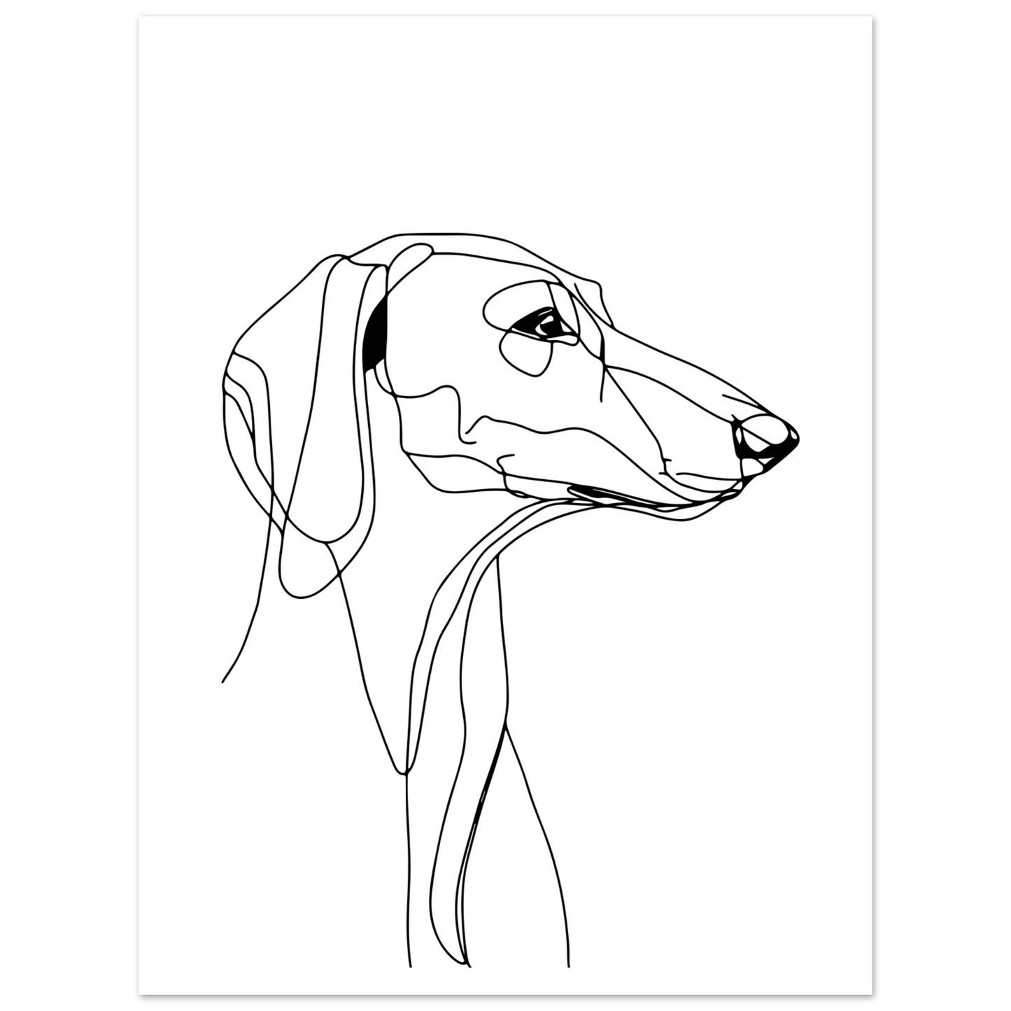 508b156f-b96c-4f49-b650-50d0d1edf531