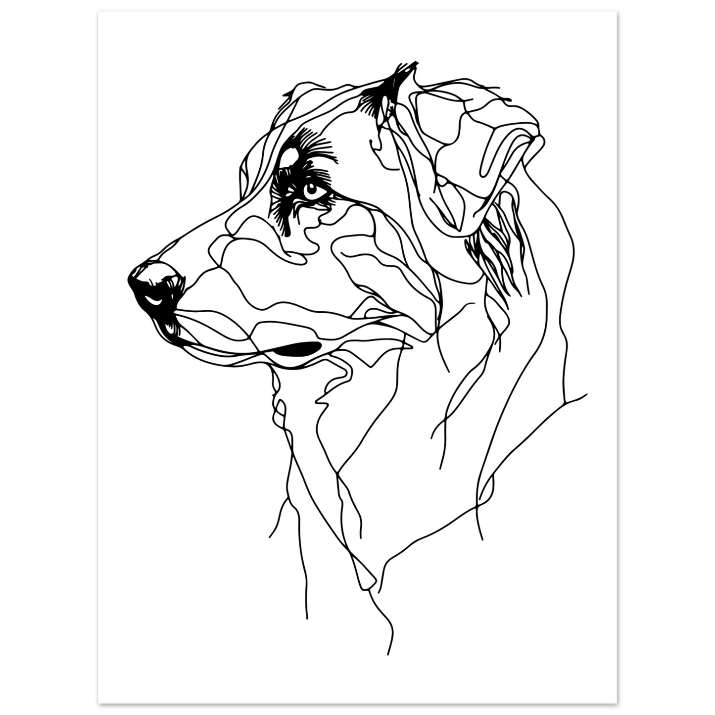 52174059-d3e7-48d1-a5ff-c369c8936319