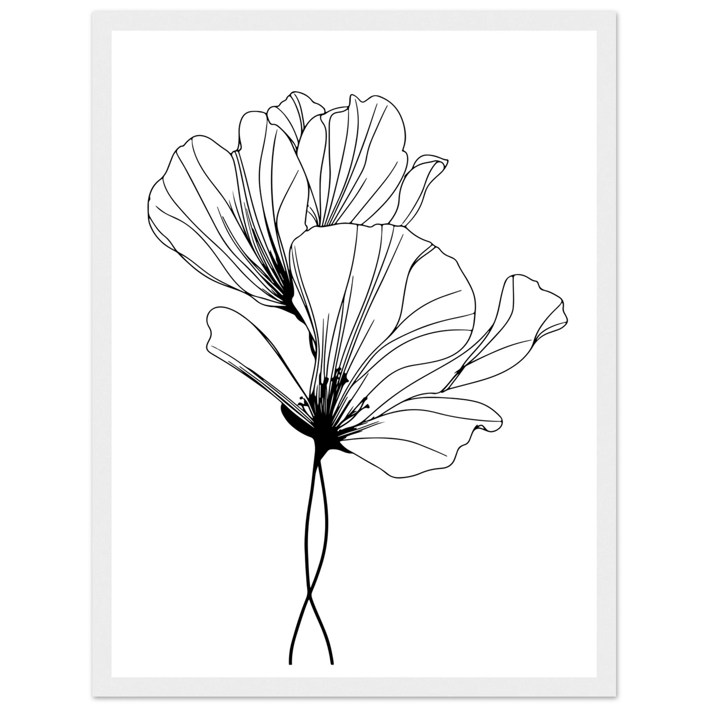 9325b18e-1870-4c6d-925e-4fb66bfd0bb8